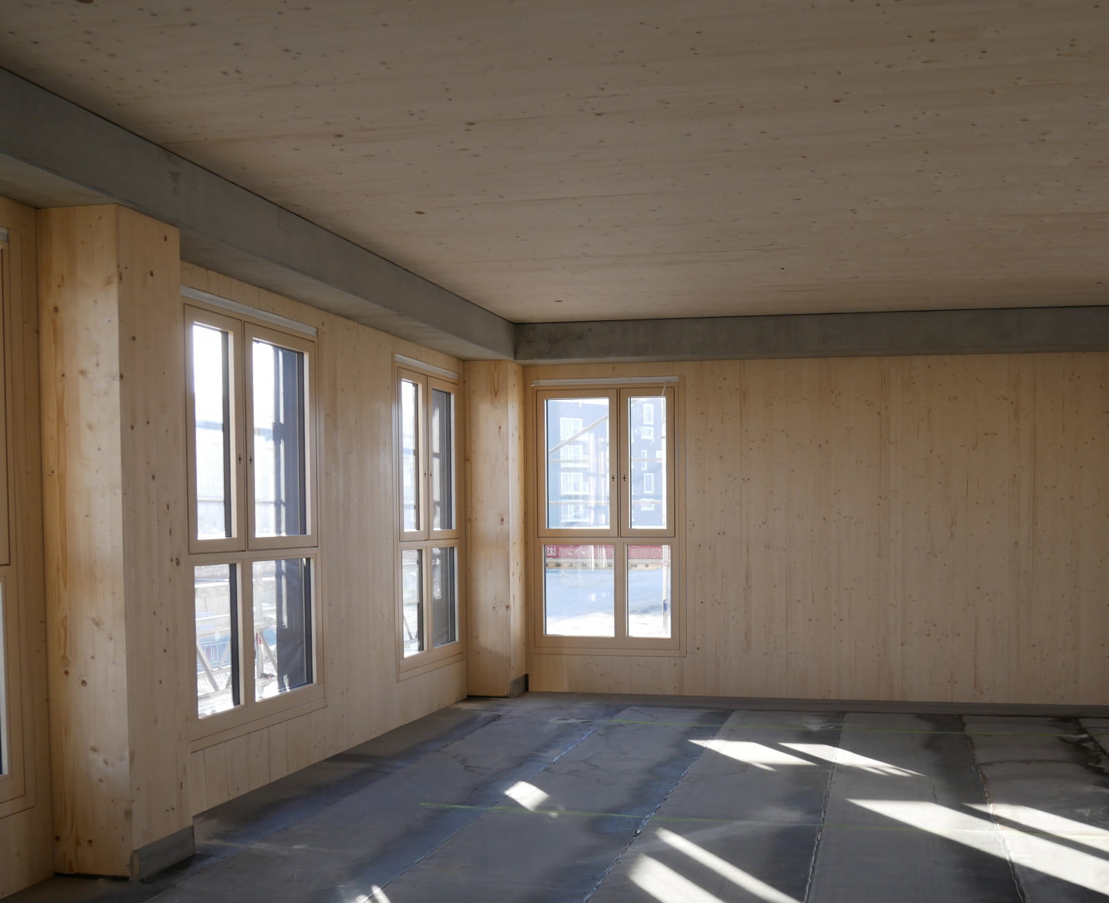 CLT-bouwconstructie in een boslandschap