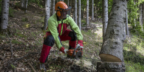 Hasslacher Work und Aufsichtsrat 2014-05-14